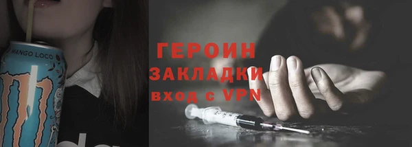 прущие грибы Переславль-Залесский