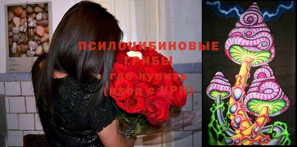 амф Бронницы