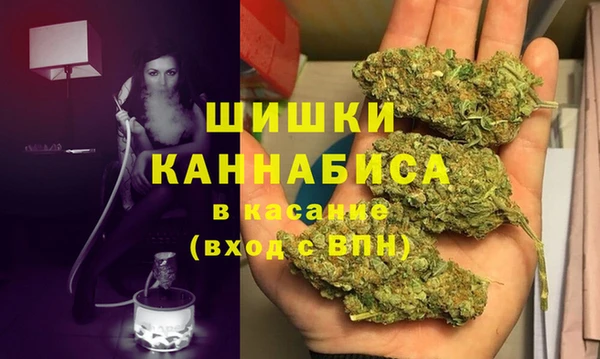 хмурый Верея
