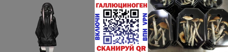 Псилоцибиновые грибы GOLDEN TEACHER  Стерлитамак 